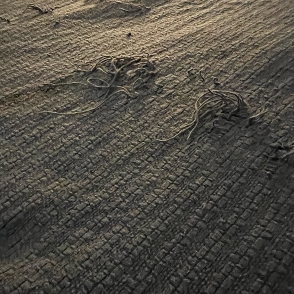 NWT Sonoma Bath Mat | Cat-Crafted | By Timber | Purr-ceived Defects by Design - Picture 10 of 10